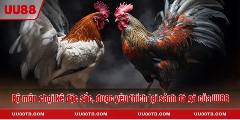 Bộ môn chọi kê đặc sắc, được yêu thích tại sảnh đá gà của UU88